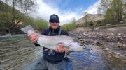 Iceland group Rainbow trout April